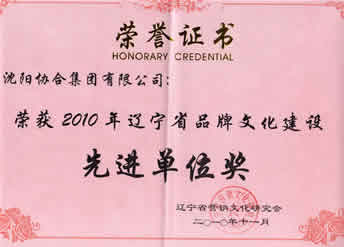 尊龙凯时集团荣获“2010年辽宁省品牌文化建设先进单位”荣誉证书 