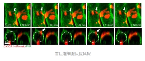 dd66c124cc0cc4d3b315eaef472d4d4b.png dd66c124cc0cc4d3b315eaef472d4d4b.png